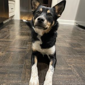 Meet your Posher, Christian